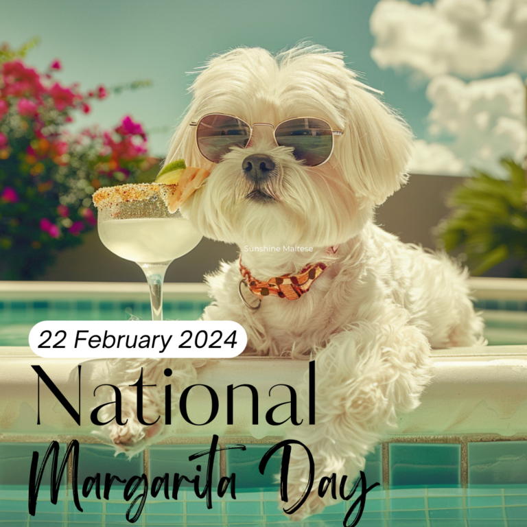 National Margarita Day